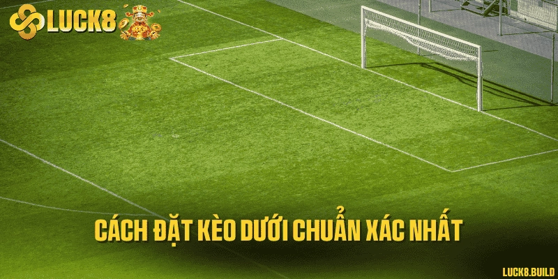 Cách đặt kèo dưới chuẩn xác nhất