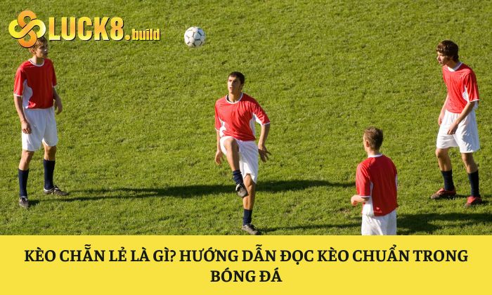Kèo chẵn lẻ là gì