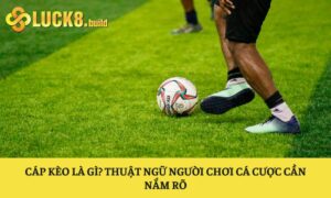 Cáp kèo là gì