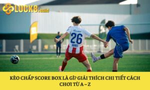 Kèo chấp Score Box là gì
