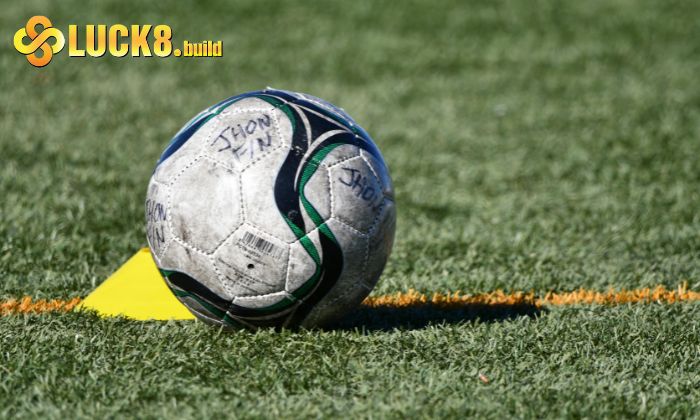 Cách đọc tỷ lệ odds trong kèo Moneyline