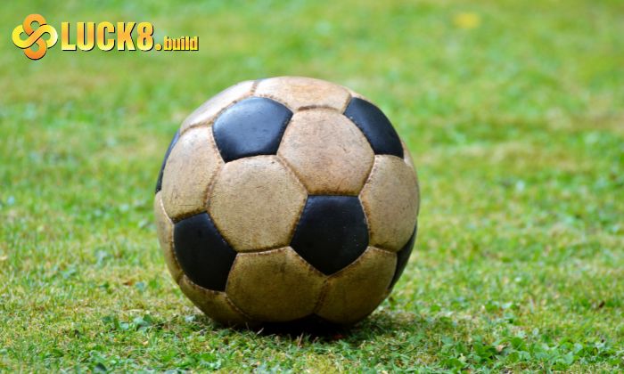 Cách đọc kèo rung hiệu quả cho người mới