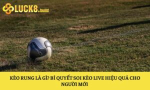 Kèo rung là gì